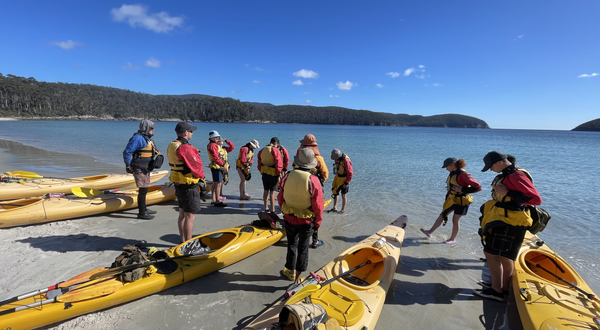 Director of Business Affairs Update Banner Photo