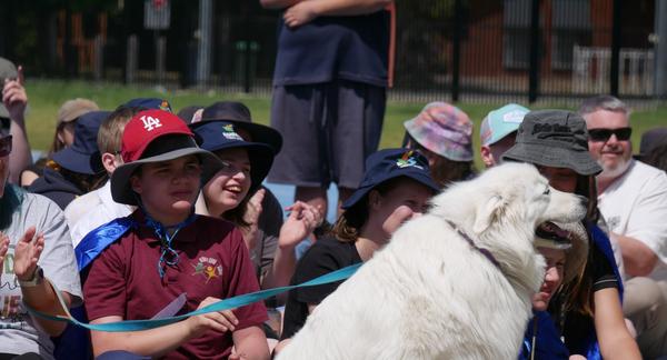 From the Principal's Desk Banner Photo