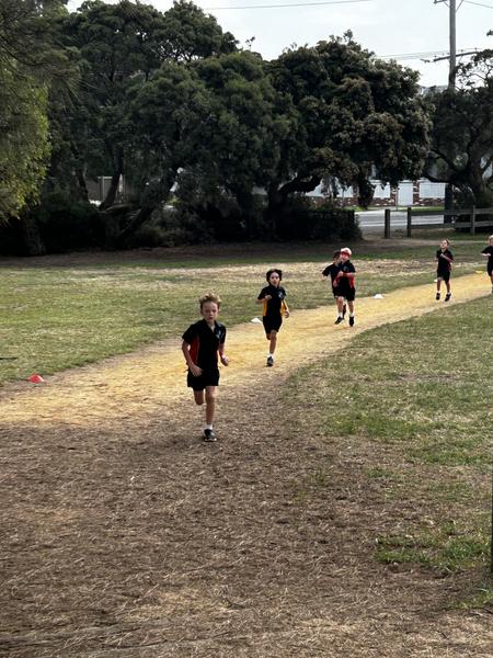 Organisation Banner Photo