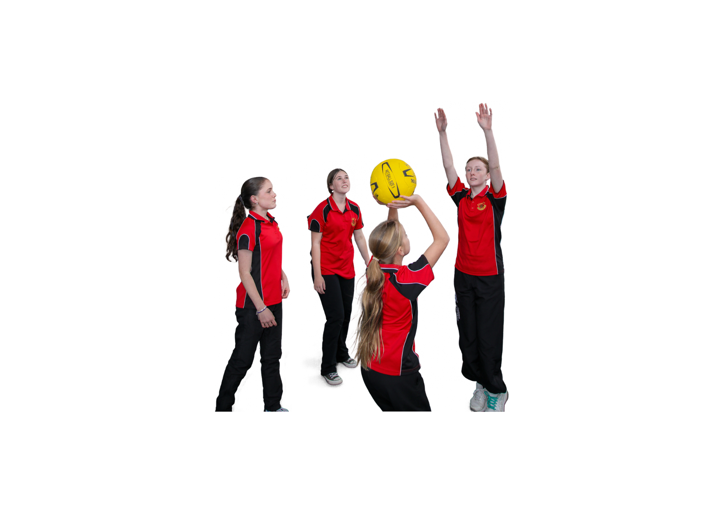 PDHPE Banner Photo