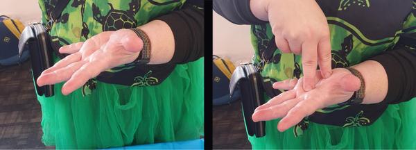 Auslan Banner Photo