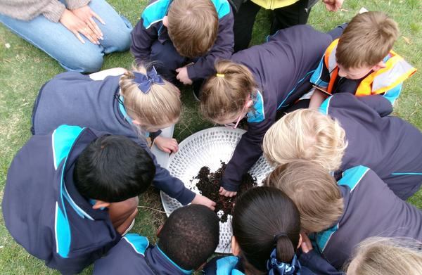 Sustainability  Banner Photo