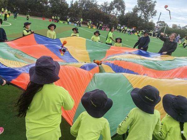 Wellbeing and Inclusion Update Banner Photo
