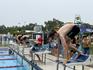 Cecil Hills High School Swimming Carnival 2026: A Splashing Success!  Banner Photo