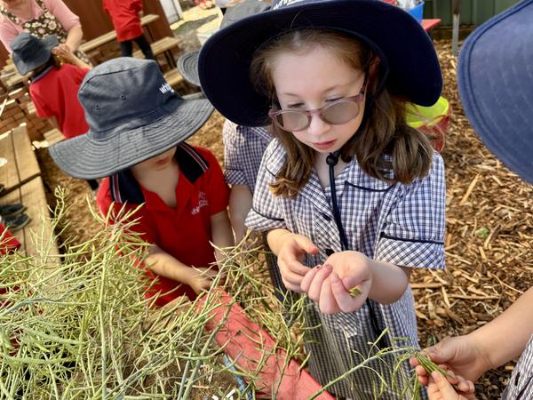 What's On In Foundation Banner Photo