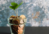 Parent Contributions & School Fees Banner Photo
