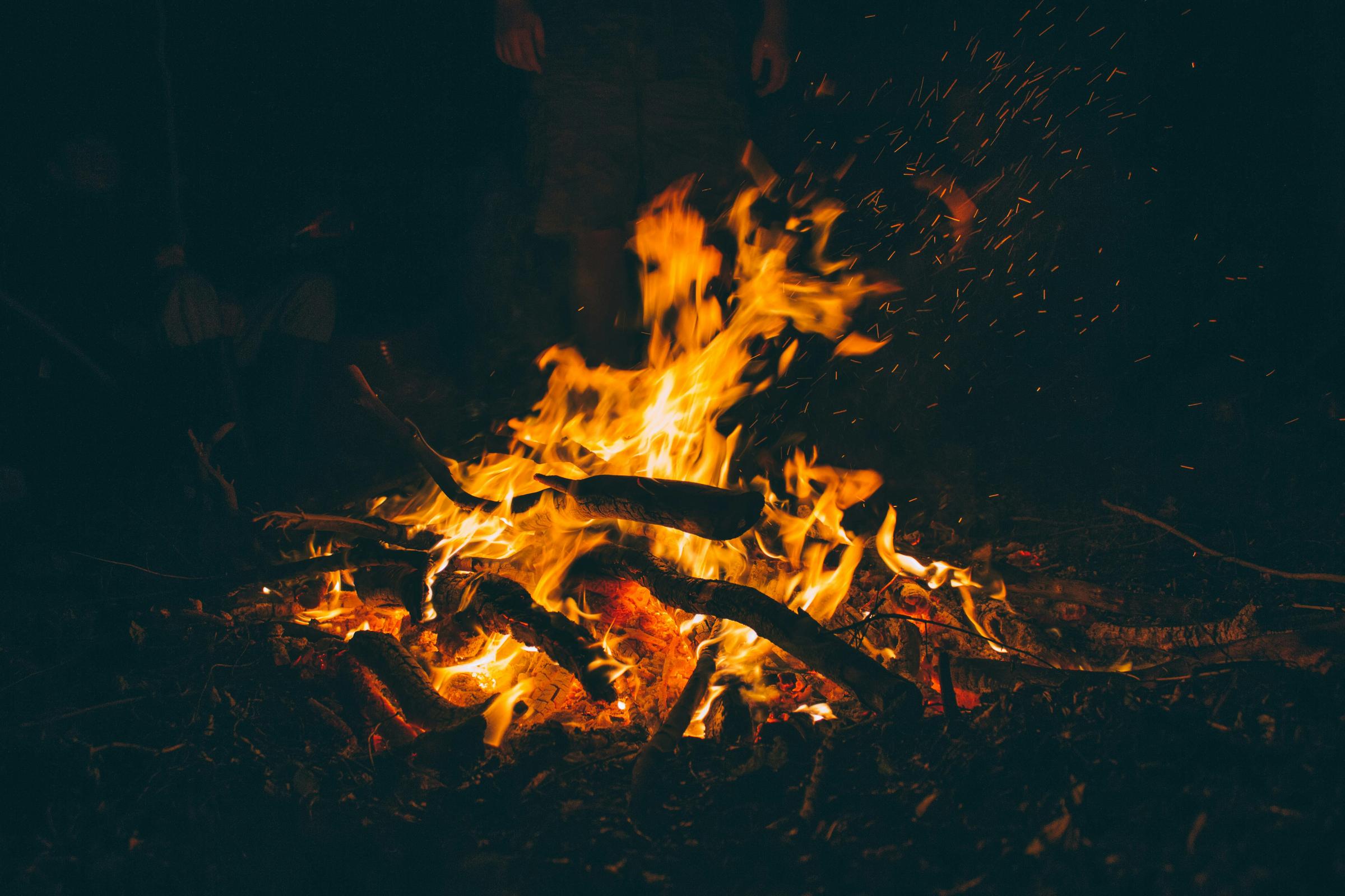 Banner Photo