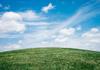 Managing Asthma During the Summer Break Banner Photo