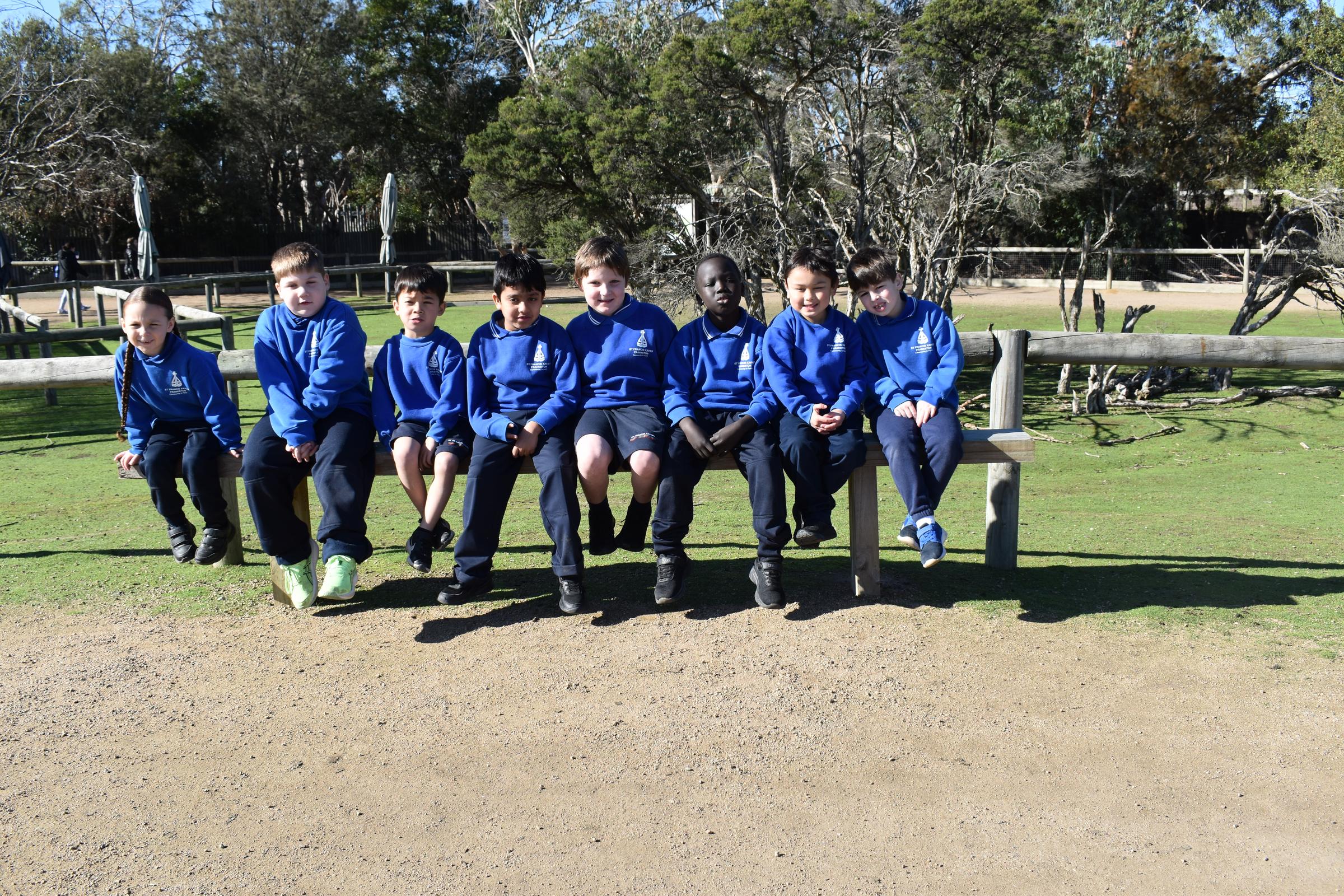 Banner Photo