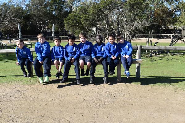 Foundation Banner Photo