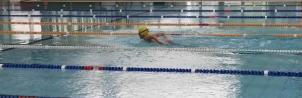 Division Swimming Banner Photo