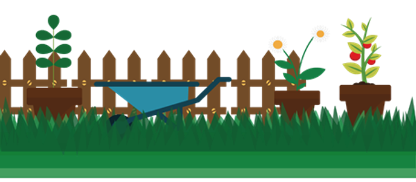 P&F Committee News Banner Photo