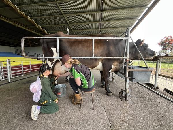 Prep Excursion  Banner Photo
