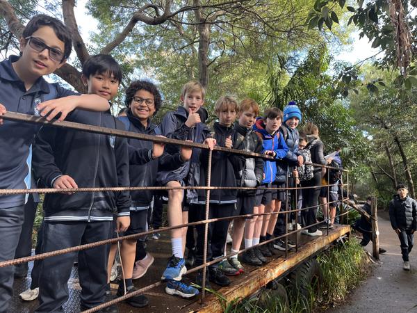 Curriculum News Banner Photo