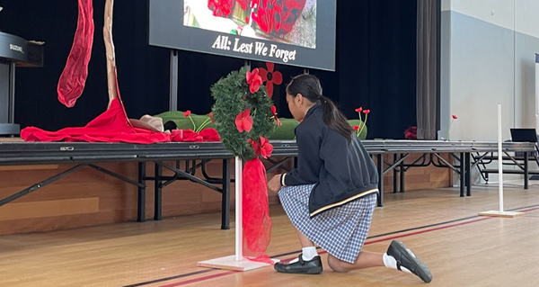 Remembrance Day Banner Photo