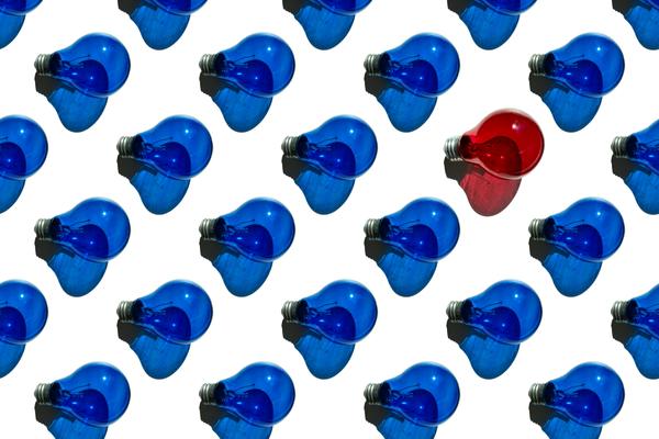 Year 6 News Banner Photo