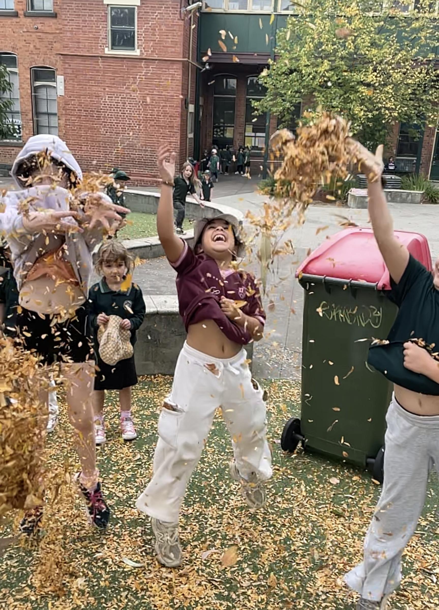 Banner Photo