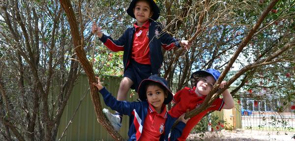 Primary School News Banner Photo