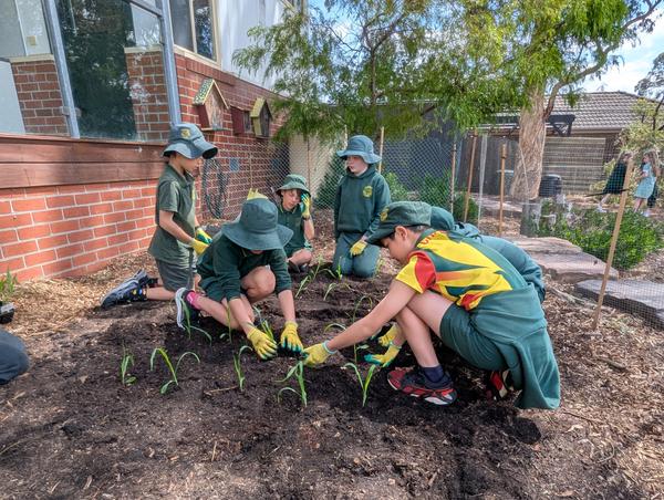 Kitchen Garden Banner Photo