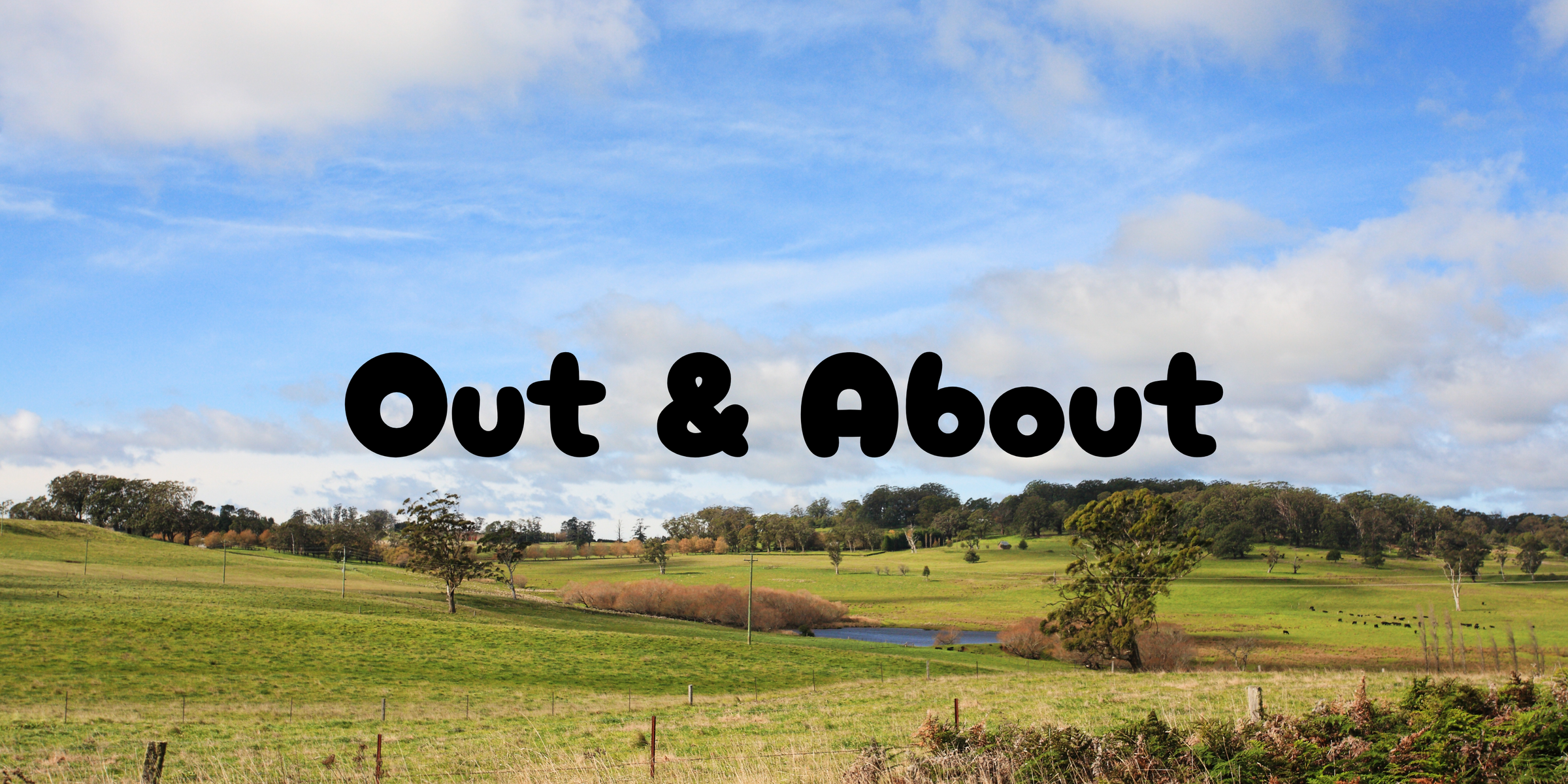 Banner Photo