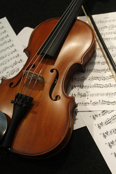 Violin Teacher  Banner Photo