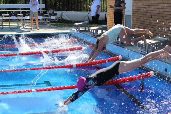 Swimming Carnival Banner Photo