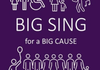 The Big Cause Banner Photo