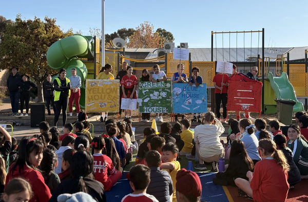 What's Happening in P.E? Banner Photo