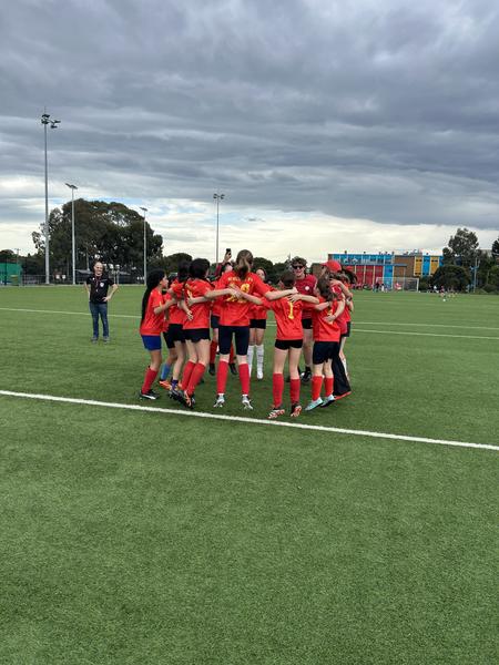 Bilingual Soccer World Cup Banner Photo