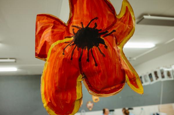 Visual Arts in Focus  Banner Photo
