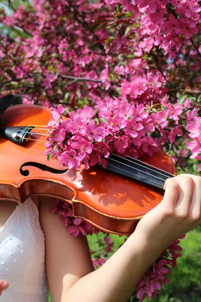 Spring Concert  Banner Photo