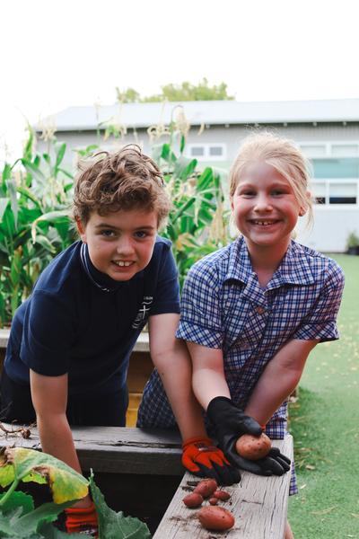 Year 3/4 News! Banner Photo