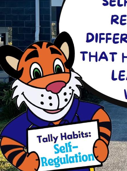 The Tally Way  Banner Photo