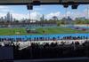 State Track & Field Athletics Championships Banner Photo