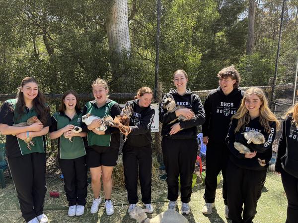 WHAT'S BEEN HAPPENING! (2 of 2)  Banner Photo