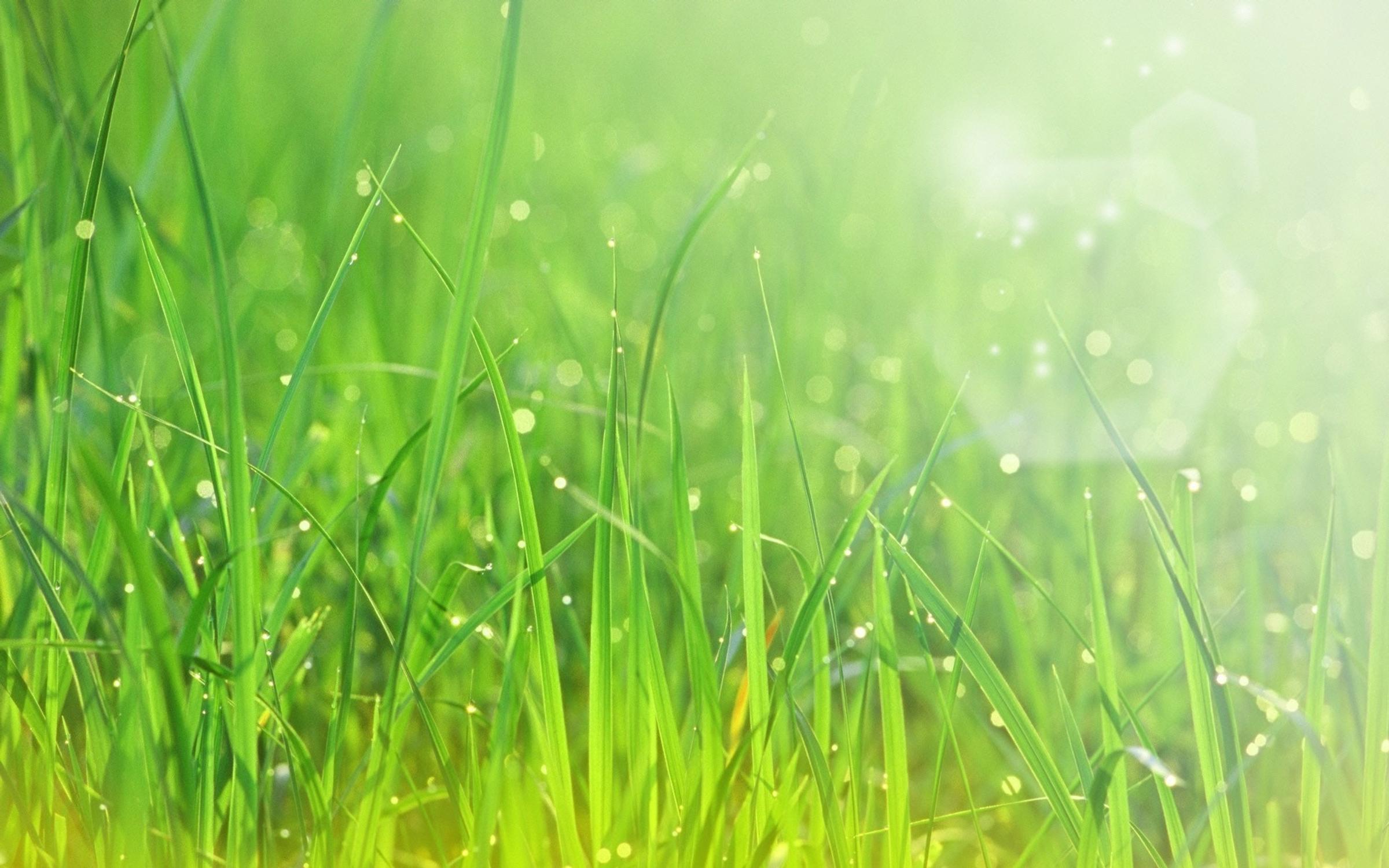 Banner Photo