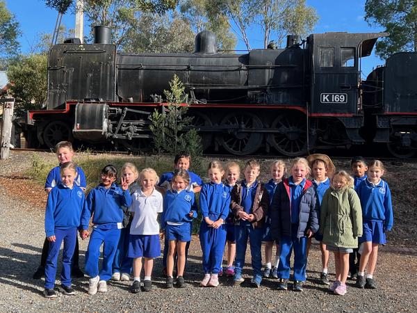 Nationally Consistent Collection of Data on School Students with Disability (NCCD) Banner Photo