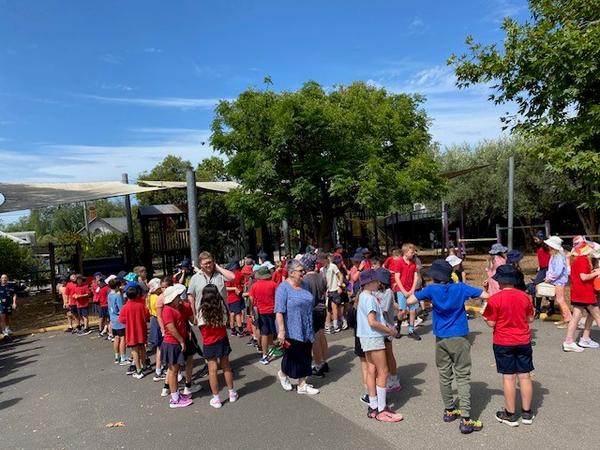 Have you Noticed? Banner Photo