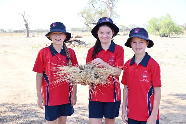 Primary School Banner Photo