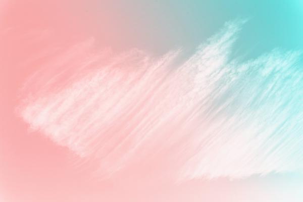 Wellbeing Update Banner Photo