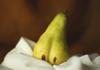 Sustainabilty - Gardening - Ms Belinda Banner Photo