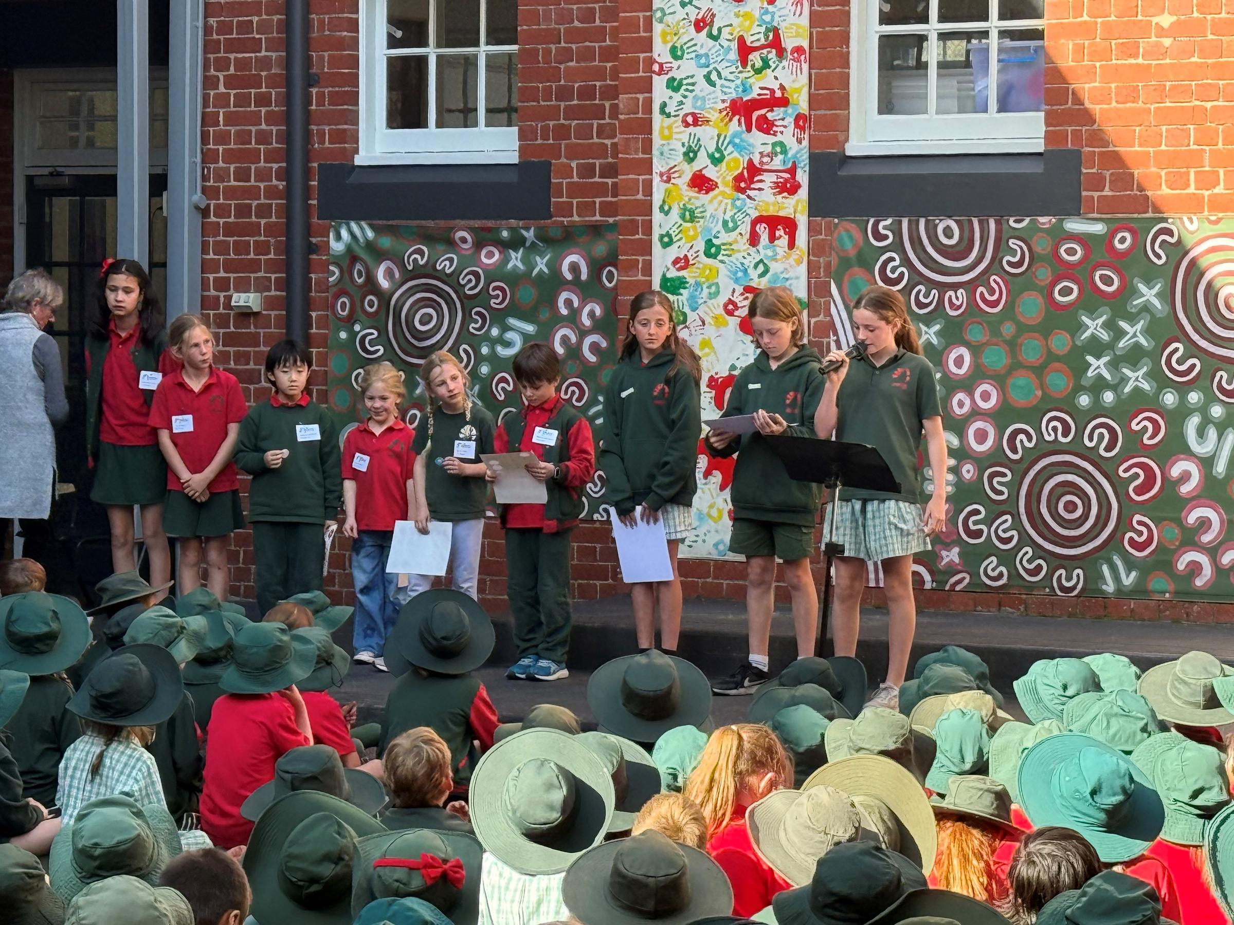 Curriculum                                                   Banner Photo