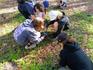 Service Learning Banner Photo