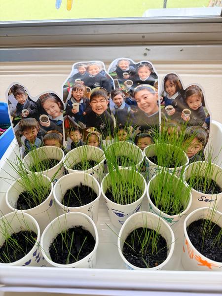 Spotlight on Learning Echidna Banner Photo