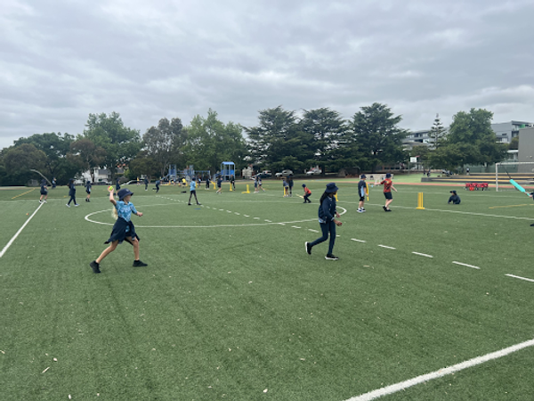 Physical Education and Sport Banner Photo