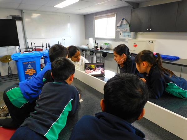 Important Dates For Your Diary Banner Photo