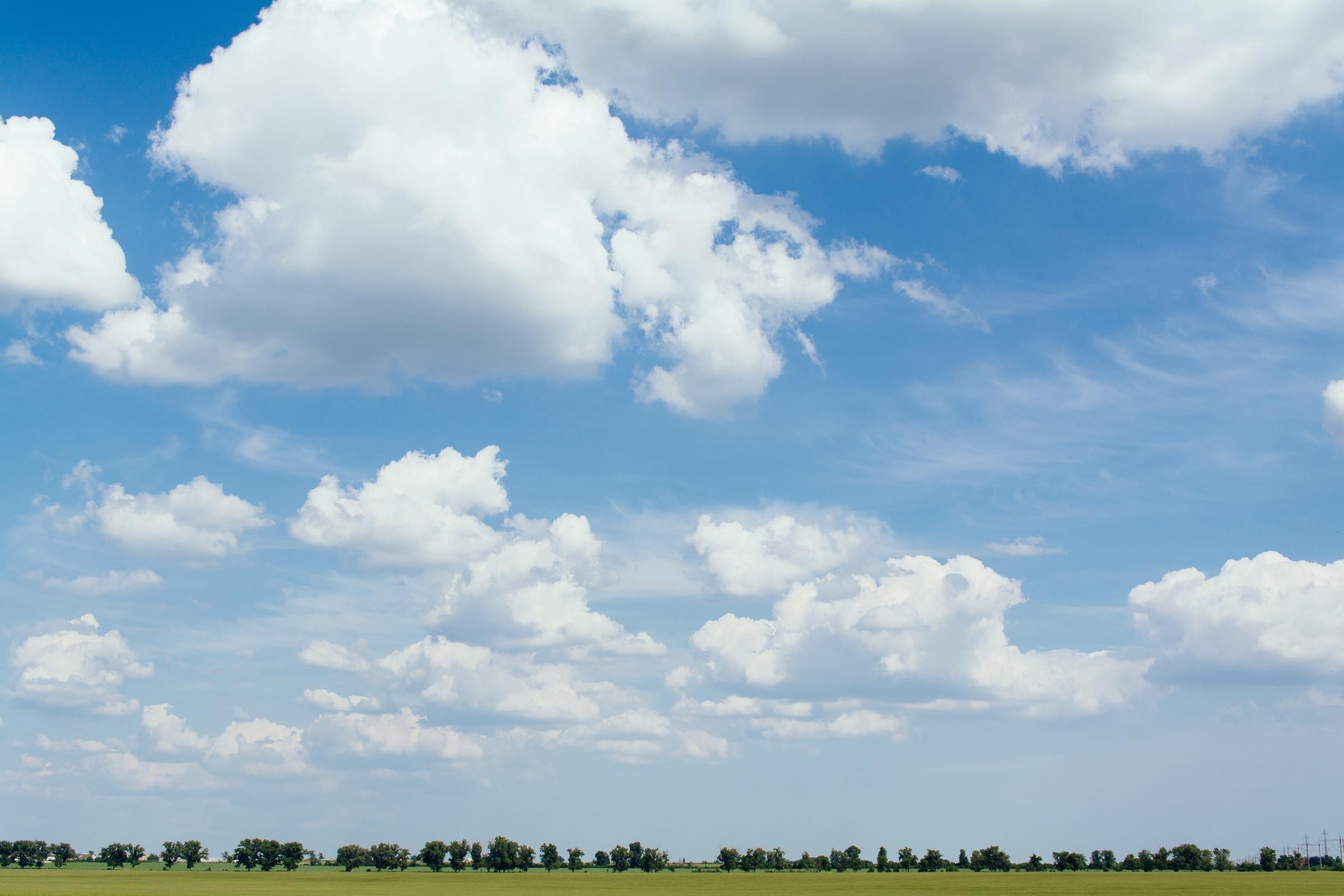 Wellbeing News Banner Photo