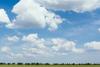Wellbeing News Banner Photo