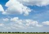 Wellbeing News Banner Photo