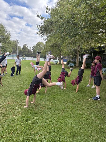 Sustainability & Gardening Club- Ms Belinda Banner Photo